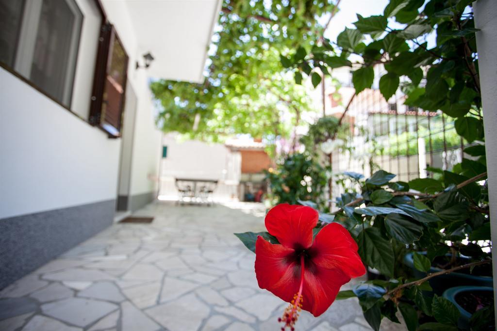 Apartments Mladen Duće Kültér fotó